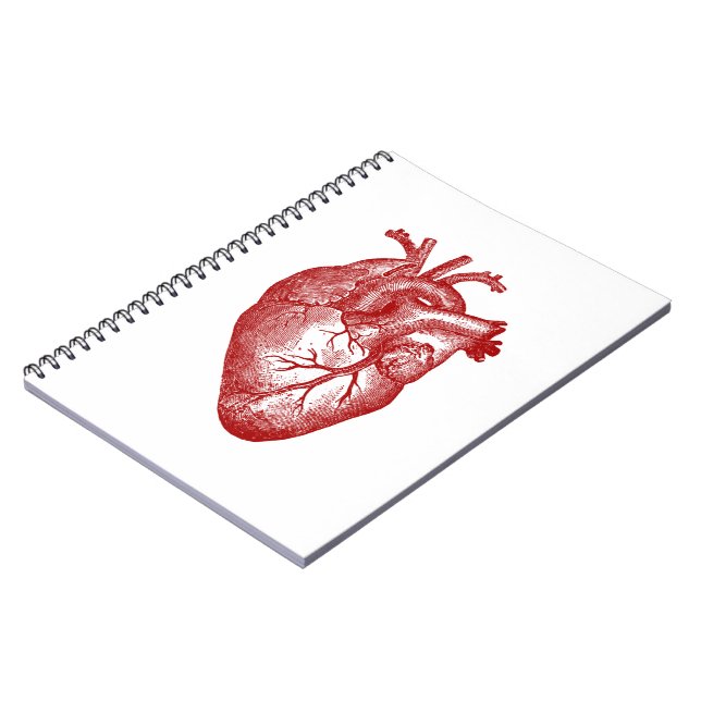 Cuaderno Anatomía cardíaca vintage (Lado Izquierdo)