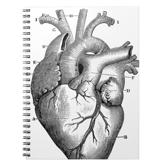 Cuaderno Anatomía cardíaca vintage | PERSONALIZABLE (Frente)