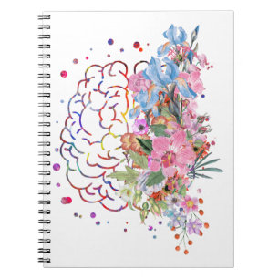 Cuaderno Anatomía cerebral