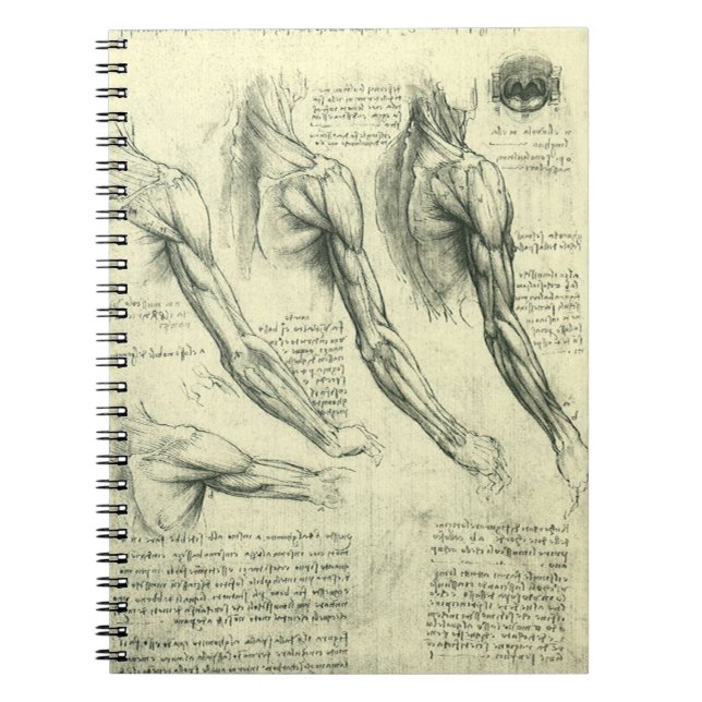 Cuaderno Anatomía de armas y hombros de Leonardo da Vinci (Frente)