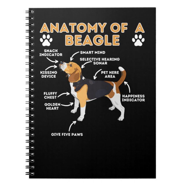 Cuaderno Anatomía De Perro Beagle De Un Perro Beagle Gracio (Frente)