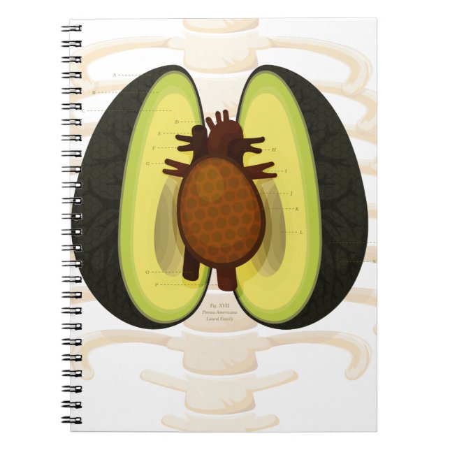 Cuaderno Anatomía de un aguacate (Frente)