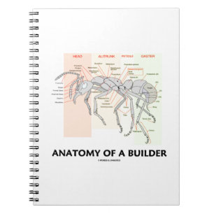 Cuaderno Anatomía de un constructor (anatomía de la hormi