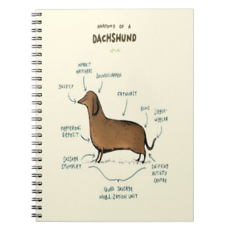 Cuaderno Anatomía De Un Dachshund | Amantes del perro de Da