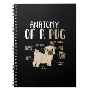 Cuaderno Anatomía De Un Mascota De Perro De La Raza De Pug