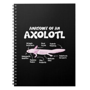Cuaderno anatomía de una ciencia biológica axolotl axolot