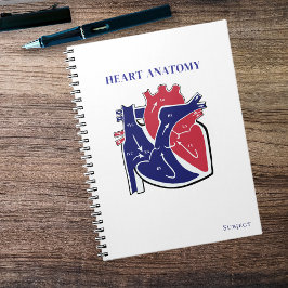 Cuaderno Anatomía del Corazón-