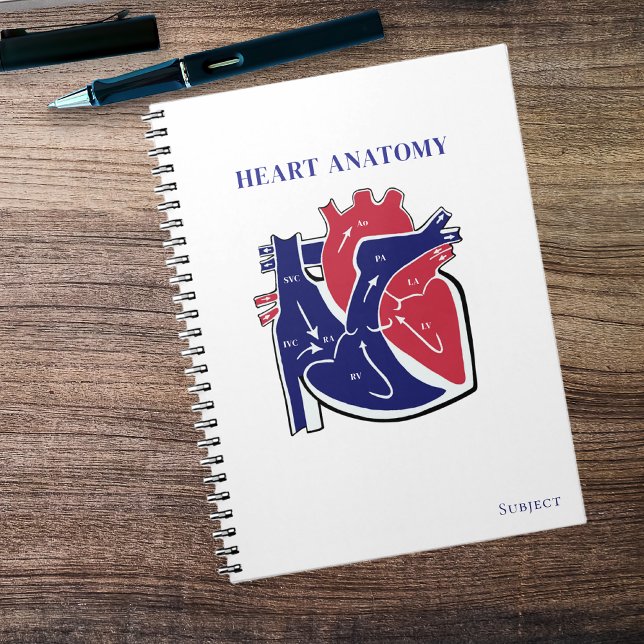 Cuaderno Anatomía del Corazón- (Heart Anatomy- Notebook )