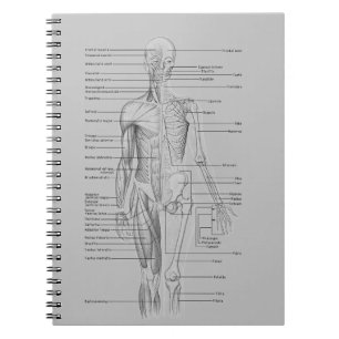 Cuaderno Anatomía gris