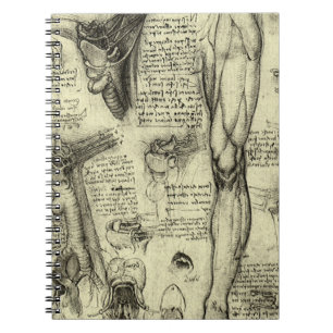 Cuaderno Anatomía Humana Antigua Laringe Pierna Leonardo da