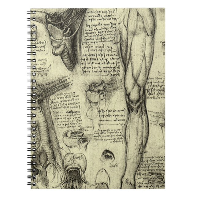 Cuaderno Anatomía Humana Antigua Laringe Pierna Leonardo da (Frente)