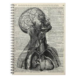 Cuaderno Anatomía humana médica