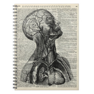 Cuaderno Anatomía humana médica