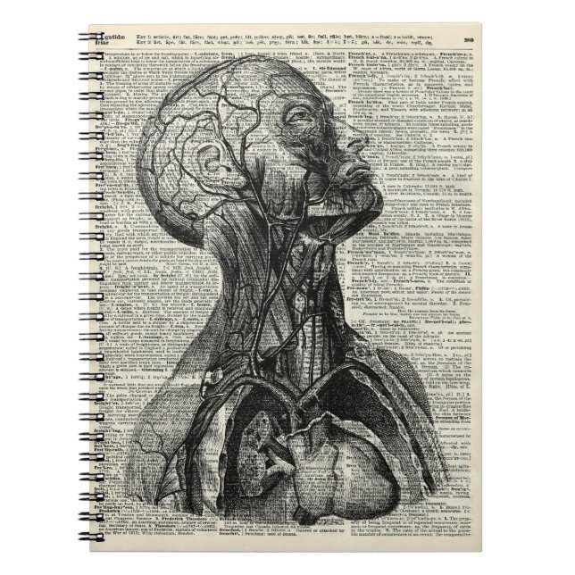 Cuaderno Anatomía humana médica (Frente)