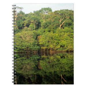 Cuaderno Anavilhanas, Amazonas, Brasil. Río de selva tropic