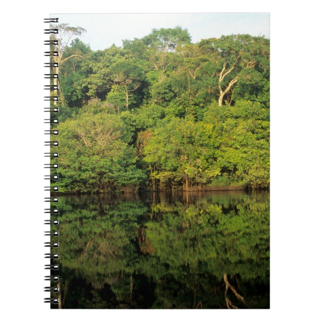 Cuaderno Anavilhanas, Amazonas, Brasil. Río de selva tropic (Frente)
