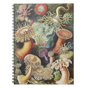 Cuaderno Anémonas de Mar de Haeckel Arte Náutico de Vida Ma
