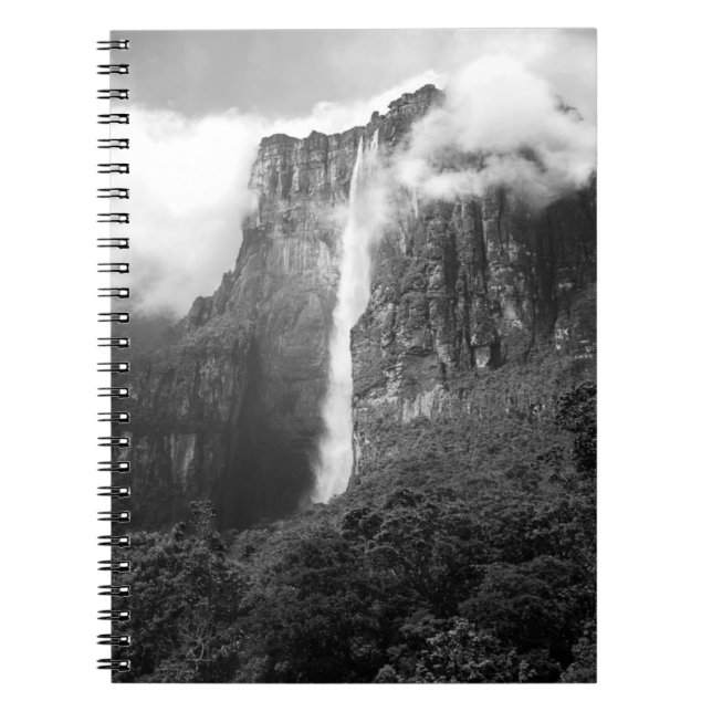 Cuaderno Angel cae en negro y blanco (Frente)
