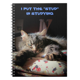 Cuaderno Ángel Grumpy: el Stud en el estudio