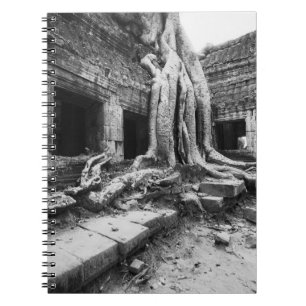 Cuaderno Angkor Camboya, árbol de Ta Prohm