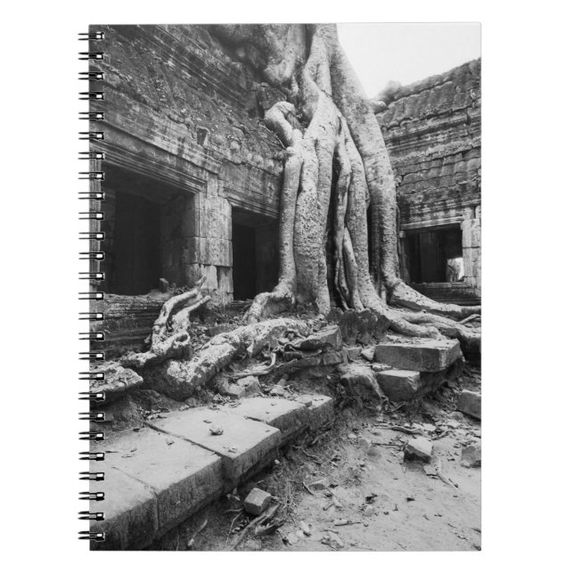Cuaderno Angkor Camboya, árbol de Ta Prohm (Frente)