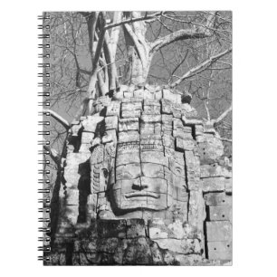 Cuaderno Angkor Camboya, Cabeza Ta Som Templo