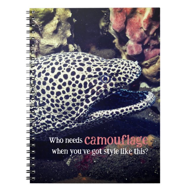 Cuaderno Anguila anguila (Frente)