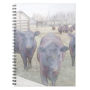 Cuaderno Angus negro joven curioso