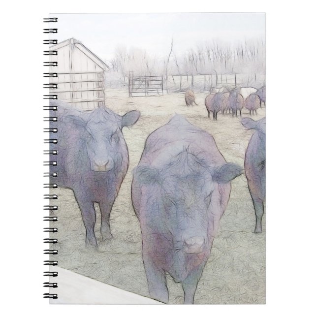 Cuaderno Angus negro joven curioso (Frente)