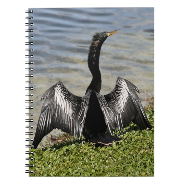 Cuaderno Anhinga Bird Notebook (Frente)