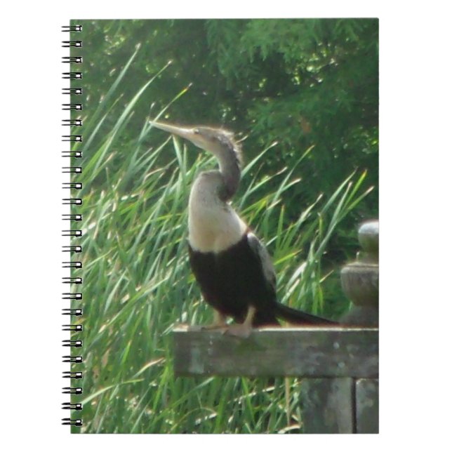 Cuaderno Anhinga Bird Spiral Photo Notebook (Frente)