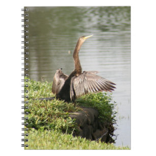 Cuaderno Anhinga Bird Spiral Photo Notebook