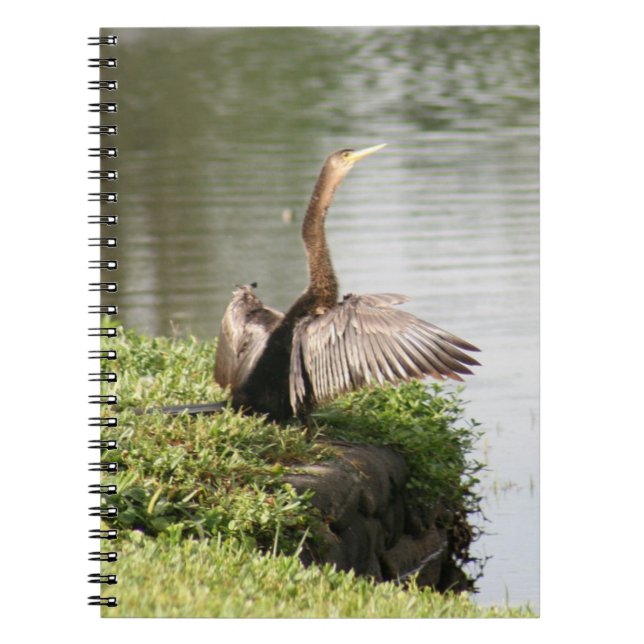 Cuaderno Anhinga Bird Spiral Photo Notebook (Frente)
