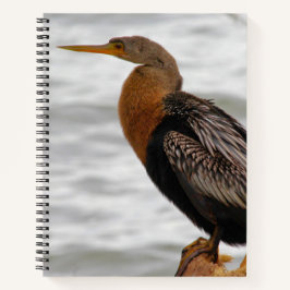 Cuaderno Anhinga On The Lookout