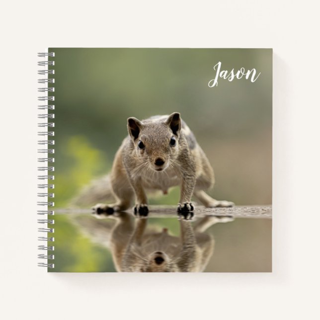 Cuaderno Animal ardilla lindo (Anverso)