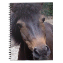 Cuaderno Animal, caballo, Pony