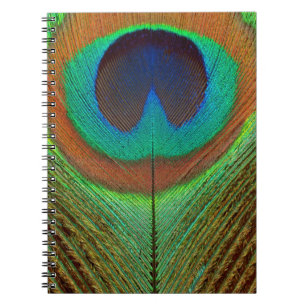 Cuaderno Animal - Pájaro - Pluma de pavo real