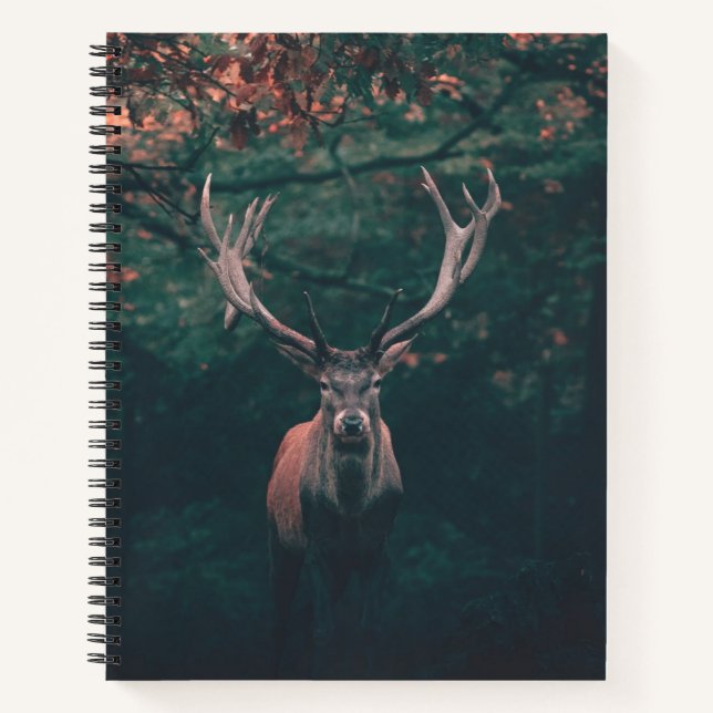 Cuaderno Animal salvaje Buck Deer (Anverso)