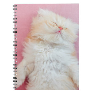 Cuaderno Animales de bebé más afectados   Agradable Gatito 