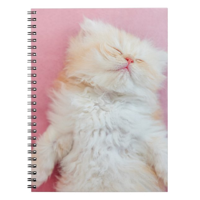 Cuaderno Animales de bebé más afectados | Agradable Gatito  (Frente)