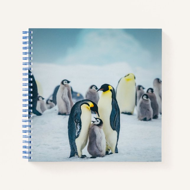 Cuaderno Animales de bebé más afectados | Alimentación por  (Anverso)