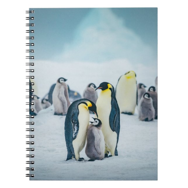 Cuaderno Animales de bebé más afectados | Alimentación por  (Frente)