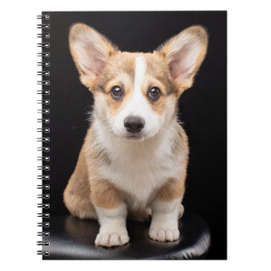 Cuaderno Animales de bebé más afectados   Alto permanente d