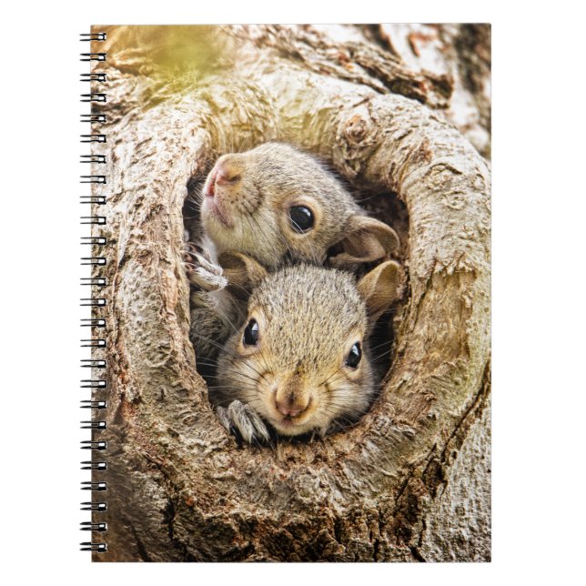 Cuaderno Animales de bebé más afectados | Ardillas de bebé  (Frente)