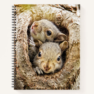 Cuaderno Animales de bebé más afectados Ardillas de bebé