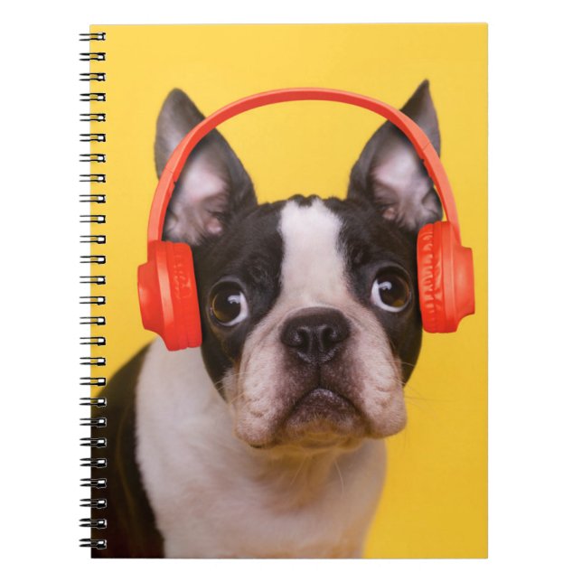 Cuaderno Animales de bebé más afectados | Auriculares de Bo (Frente)
