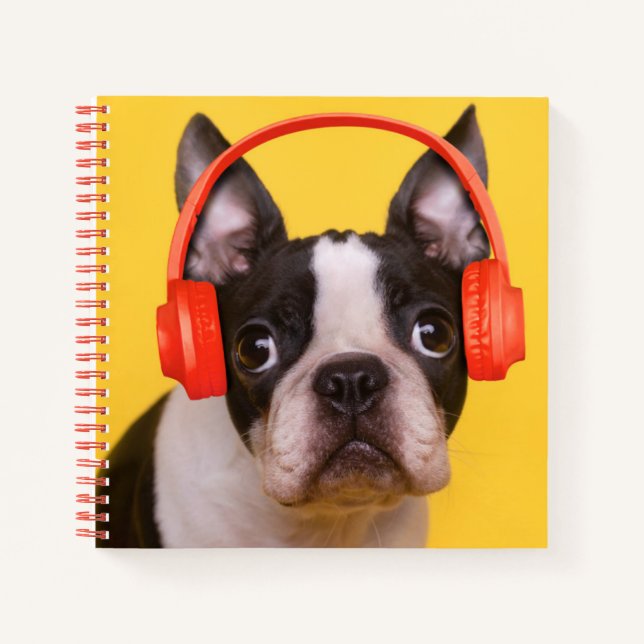 Cuaderno Animales de bebé más afectados | Auriculares de Bo (Anverso)