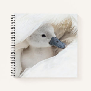 Cuaderno Animales de bebé más afectados Baby Mute Swan