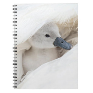 Cuaderno Animales de bebé más afectados Baby Mute Swan