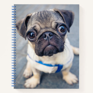 Cuaderno Animales de bebé más afectados Baby Pug
